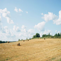 I love hay bales.  Took this snap on a drive through the countryside past some straw fields.