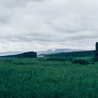 I hiked to the top of the mountain and got this picture of the canyon and tress below.